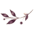 petite_branche_horizontale_png_transparent